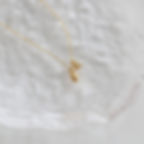縮圖：Lotus flower earrings and bracelet