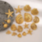 Gold plated starfish earrings for coastal fashion jewelry collections