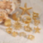 縮圖：Ocean inspired stainless steel starfish shell ring collection