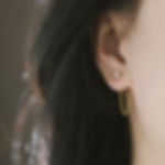 Two-way wearing tassel earrings