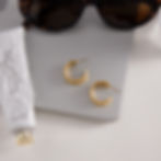 縮圖：316L stainless steel fish earrings