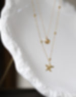 Sea shell and sea star double layer necklace