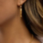 縮圖：Close-up of 316L stainless steel fish earrings with PVD gold finish