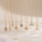 縮圖：316L stainless steel ocean charm necklace collection with 18K PVD gold plating