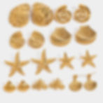 縮圖：Gold plated starfish earrings for coastal fashion jewelry collections