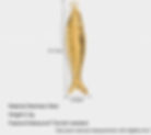 縮圖：Ocean Fish Natural Stone Beaded Necklace & Bracelet Collection