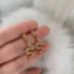 縮圖：Snake earrings