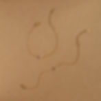 縮圖：single cubic zirconia diamond simple bracelet