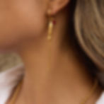縮圖：Model wearing 316L stainless steel fish earrings