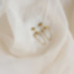 縮圖：Two-way wearing tassel earrings
