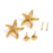 seastar stud seashell stud ocean stud earrings stack of 3pairs